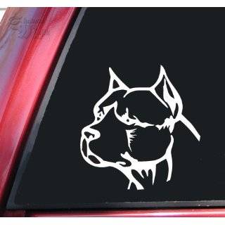  Pit Bull dog pitbull car bumper sticker decal 5 x 5 