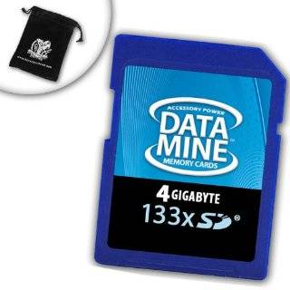 DataMINE HIGH SPEED 4GB 133x SD Memory Card for  KINDLE 1