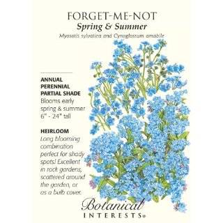  Victoria Blue Forget Me Not Seeds   .25 grams Patio, Lawn 