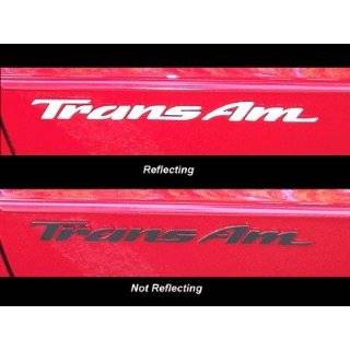 : Trans Am Rear Panel Overlay Decal   93 02 Pontiac Firebird Trans Am 