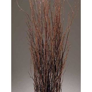  Small Birch Branches 2 3 Feet Tall, Pack of 18   Natural 
