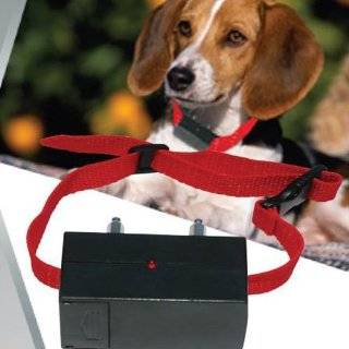   6V Alkaline Batteries for Dog Shock/Training Collars Electronics