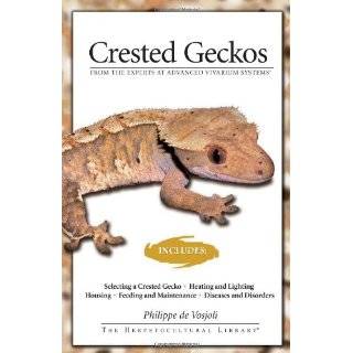 Crested Geckos From the Experts at Advanced …