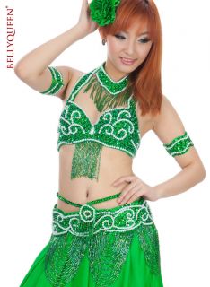 Free Shipping Professional Belly Dance Costume 5pcs Bra Belt Necklace Armbands