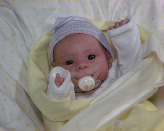 Le Josephine Klinger Beautifully Reborn Baby Boy Newborn Doll COA Included